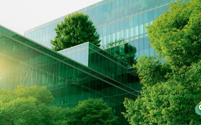 Duurzame kantooroplossingen: Milieubewust werken begint hier